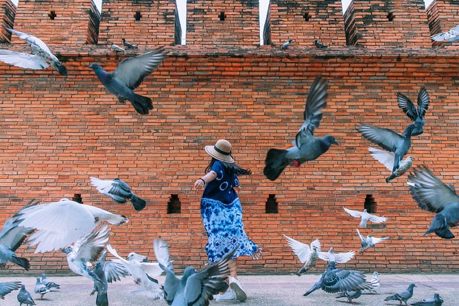 ️ Chiang Mai Instagram Tour: Most Famous Spots (Private and All-Inclusive) - Old-city landmarks: Tha Phae Gate and the temple circuit